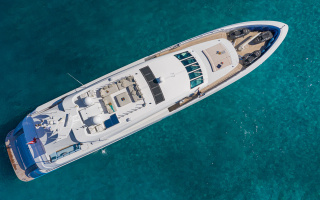 SEA WOLF 31