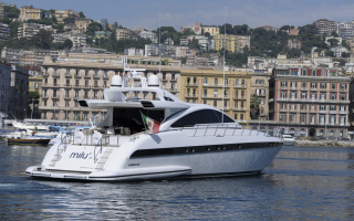 MILU II 2