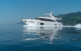 LARIMAR II 22