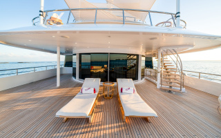 AMARYLLIS 13