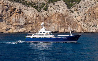 CUPANI 26
