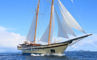 LAMIMA 25