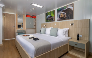 GALAPAGOS ANGEL 7