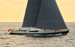 GUILLEMOT 23