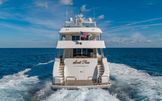 SCOTT FREE 2