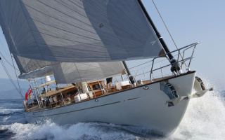 EUGENIA VII 2