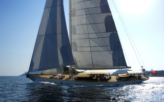 EUGENIA VII 14