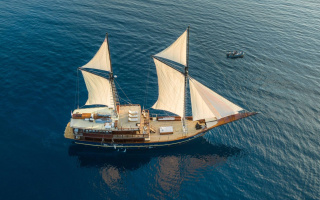 CELESTIA 26