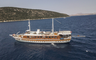 ELARA 1 17