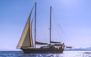 ECE ARINA 2