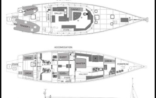 GREY WOLF II 11