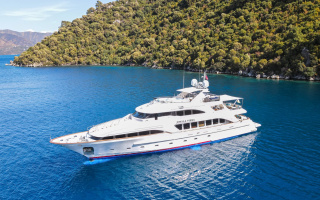 STELLA FIERA 22