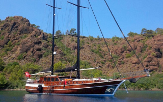 KAYA GUNERI PLUS