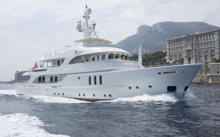 BELUGA 19
