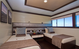 SEA STAR 11