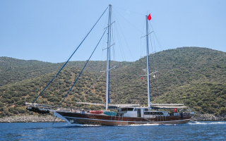TARKAN 5