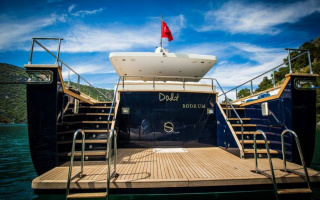 DALI 4