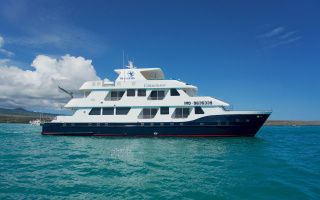 CORMORANT 16