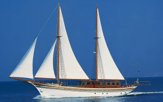 HERMINA 16