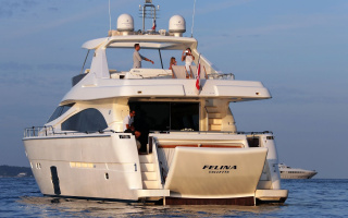 FELINA 3