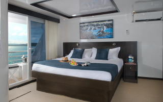 CORMORANT 12