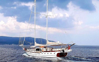 ELFIM 11