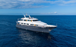 GALAPAGOS ANGEL 12