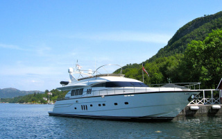 ANNE VIKING