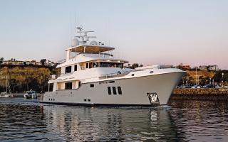VIVIERAE II 15