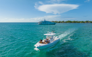 STAR DIAMOND 25