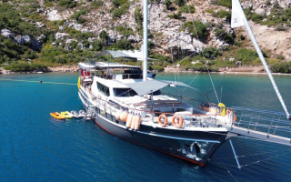 ARNI 3