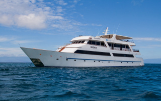 SEA STAR 15