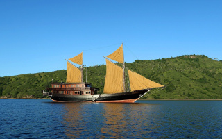 ALILA PURNAMA