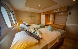 GRAND DAPHNE 15