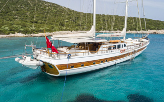 CANER IV 3