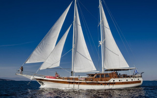 ERATO 25
