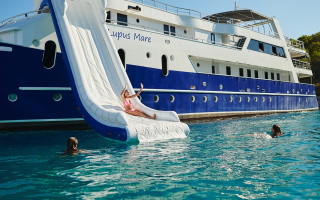 LUPUS MARE 6