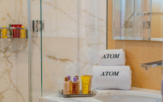 ATOM 28