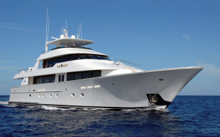 SERENGETI 28