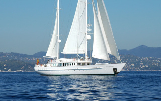 MATA MUA 9
