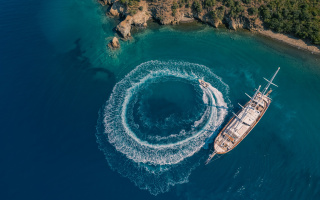 LYCIAN QUEEN 31