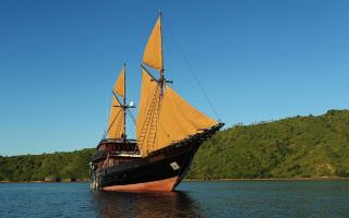 ALILA PURNAMA 3