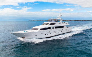 BRANDI WINE 43