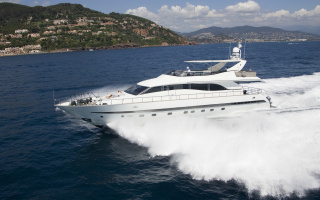 COCA VI 22