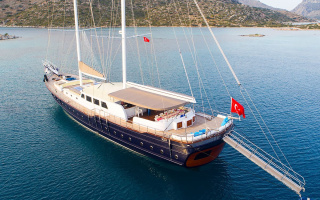 NEVRA QUEEN 3