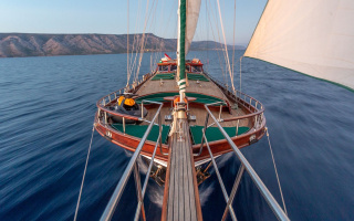 CARPE DIEM 7 5