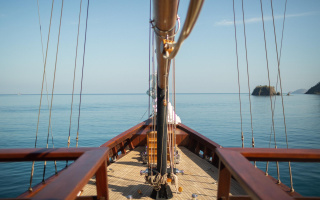 VELA 4