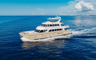 AURELIA 12
