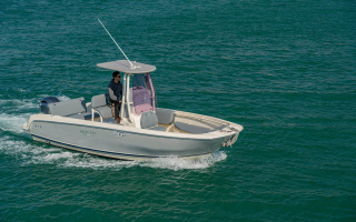 ATOM 31