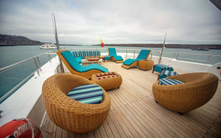 GRAND DAPHNE 5